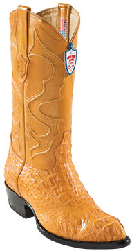 Wild West Buttercup J-Toe Caiman ~ World Best Alligator ~ Gator Skin  Hornback Cowboy Boots