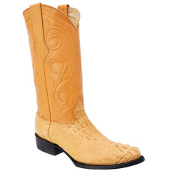 Botas de Cocodrilo Caiman Cola Original Horma Puntal WD